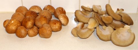 DSC00025