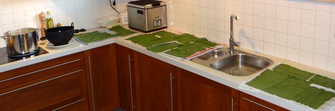DSC01488