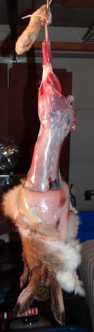 DSC00934