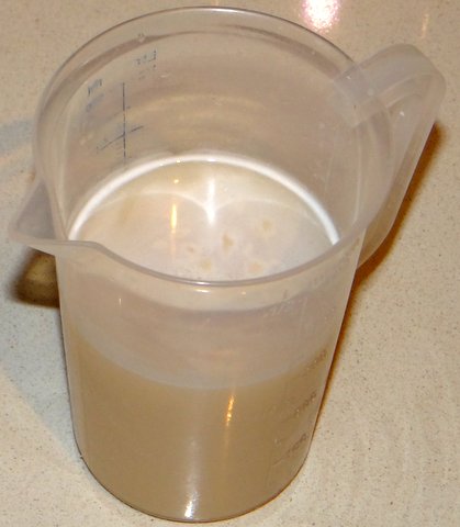 DSC03135