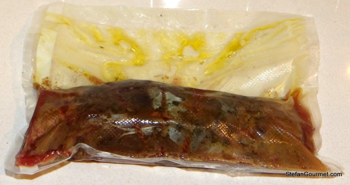 DSC04193
