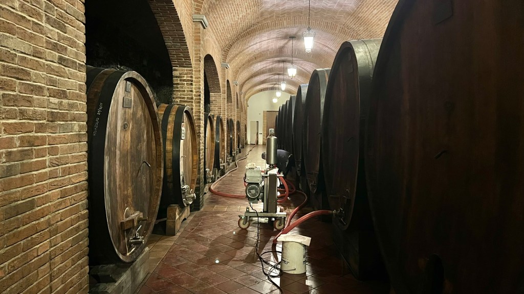 Interior of a wine cellar featuring large wooden fermentation barrels, with a machine and hoses in the center, illuminated by hanging lights.