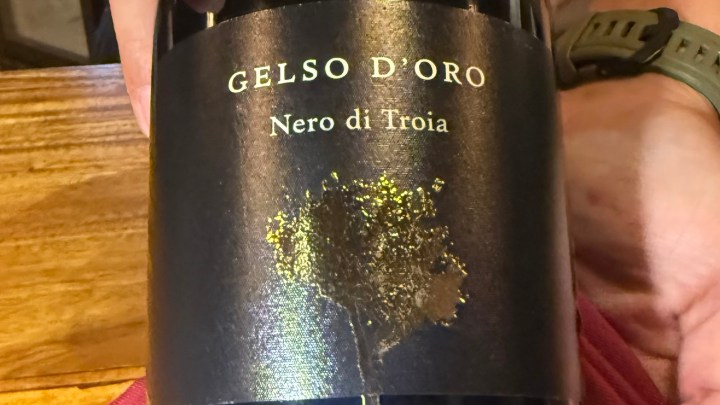 A close-up image of a bottle of GELSO D'ORO Nero di Troia wine, held by a person, featuring a dark label with a gold tree design.