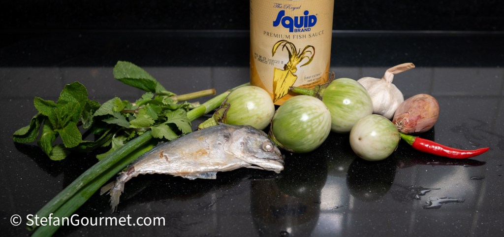 An arrangement of fresh ingredients including mint, cilantro, green onions, garlic, shallots, and chili peppers, along with a can of premium fish sauce and dried fish, placed on a black countertop.
