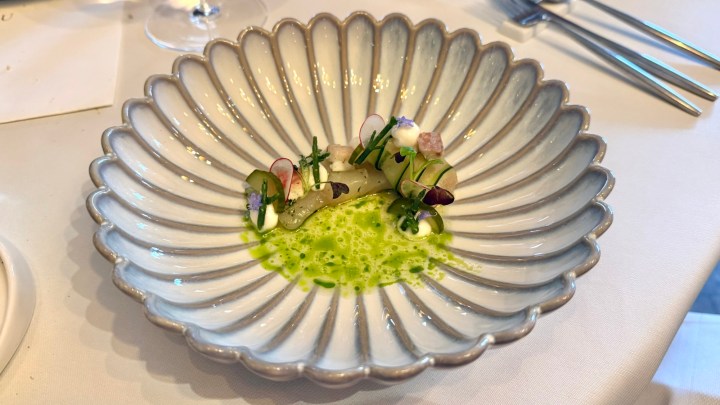 A beautifully presented dish in a decorative gray scalloped bowl, featuring a light green sauce, delicate garnishes including radishes, herbs, and a small portion of what appears to be pasta or a similar ingredient.