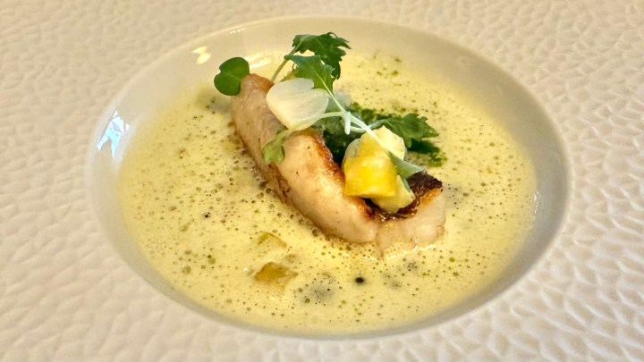 A gourmet dish featuring a piece of grilled fish with a crisp skin, garnished with small greens and citrus segments, served in a creamy sauce in a white bowl.