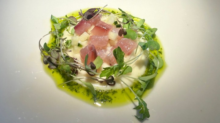 A beautifully plated dish featuring diced fish, green herbs, and a drizzle of vibrant green oil on a white background.