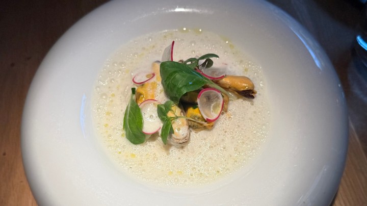 A white bowl containing a creamy seafood dish with mussels, radish slices, and green herbs in a light frothy sauce.
